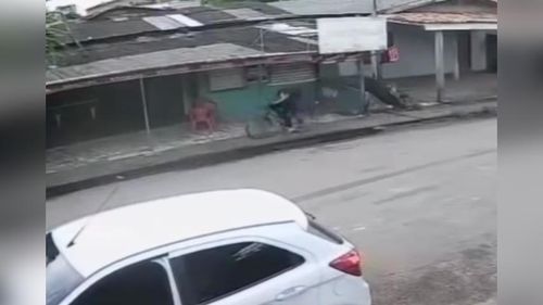 Nem o caroço escapa: Em Santana, saca de açaí é furt4da em um minuto