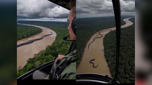 Não é a Cobra Sofia: Ufa! Ibama esclarece que serpente ‘gigante’ é feita por IA