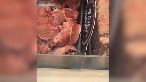 'Que fofo, mãe!': Um rato passeia pelas carnes do açougue e criança acha a cena adorável