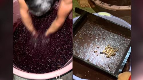 Antes da amassadeira! Nortista mostra como era feito o açaí ‘raiz’