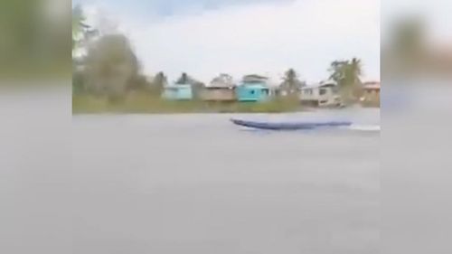 Visage ou montagem? Rabeta 'fantasma' é flagrada em rio da Amazônia e intriga ribeirinhos