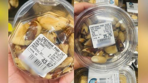 Muito caro: Preço do quilo da castanha passa de R$ 200 em Macapá! Entenda o motivo