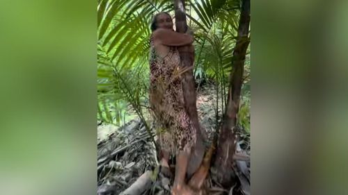 É tenso: Veja drama real de quem ama o interior e tem que voltar à cidade