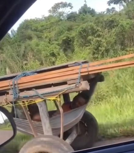 Jeitinho brasileiro: Homem transforma carroça em escritório com sombra e rede 
