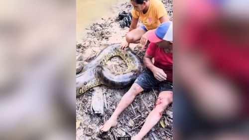 Por um triz: Pescador quase vira lanche de sucuri, mas escapa de ataque