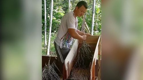 Invenção do interior: Ribeirinho cria soluções que revolucionam a produção de açaí