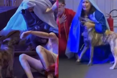 Nova Atriz?: Cachorrinha invade palco e ‘defende’ Jesus na Paixão de Cristo