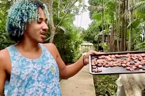 Vai um Cupulate?: Chocolate feito de cupuaçu faz sucesso na Amazônia