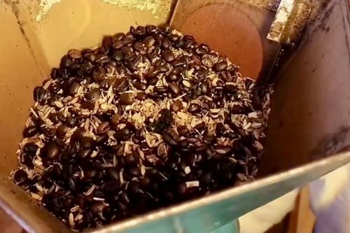 Já Provou?: Café moído com erva-doce vira aliado de ribeirinha na rotina puxada