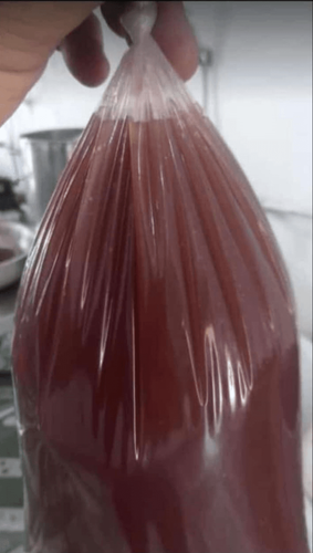 Açaí do fino: Crise no Amapá, ainda não acabou. 