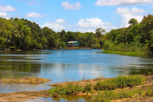 Desmatamento na Amazônia e “ponto de não retorno” serão debatidos em audiência na Câmara