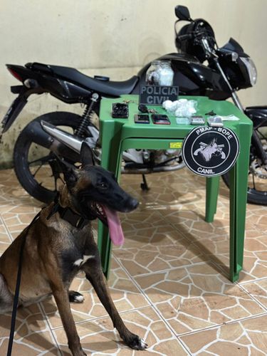 Cão do Bope encontra entorpecentes escondidos no mato durante ação policial