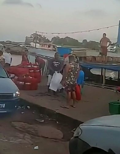 Carregadores de açaí têm atividade ameaçada no Igarapé da Fortaleza