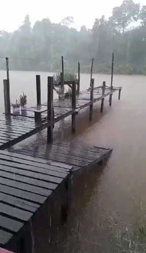 Tchau inverno: Pingos gigantes no Rio Beija-Flor para se despedir das chuvas no Amapá