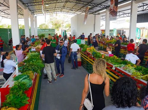 "Fazendinha inaugura 'Feira Verde' para impulsionar escoamento agrícola"