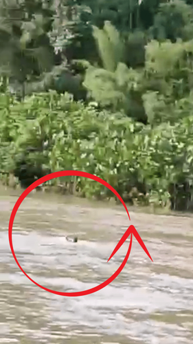 Calçoene: após assassinato, suspeitos nadam para fugir da cena do crime