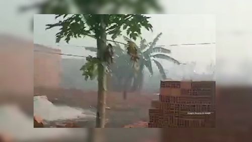 Moradores registram fumaceiro em diferentes pontos de Macapá