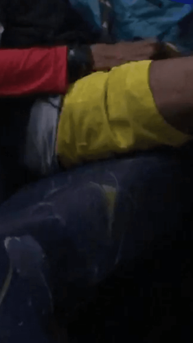 Macapá: Homem constrange jovem ao se tocar dentro de ônibus 