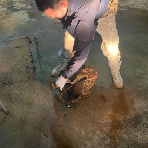 Macacos raros são encontrados em mala de carro em Oiapoque