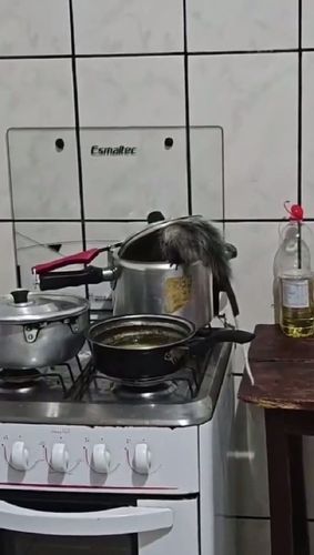 Mucura apronta e cai na panela: Veja a receita
