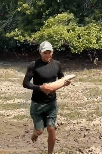 Pirarucus bebês são resgatados por "heróis" na comunidade do Igarapé do Lago.