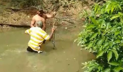Pesca elétrica: Homem recebe descarga ao capturar um poraquê