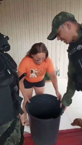 Macapá: Filhote de tamanduá é encontrado num cesto de roupas no Congós