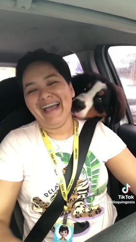 Em Macapá, pets andam de taxi e viram celebridades na internet