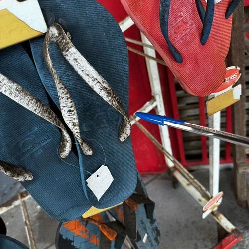 Bolacha vencida e sandálias sujas são encontradas à venda no AP